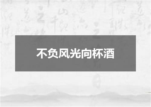 不负风光向杯酒