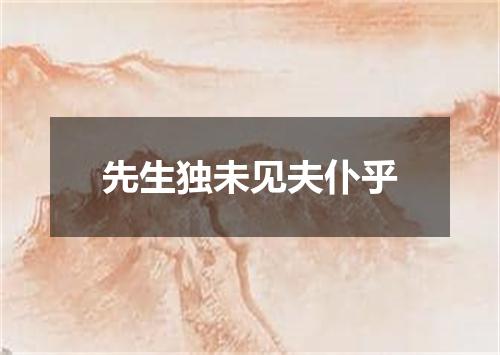 先生独未见夫仆乎