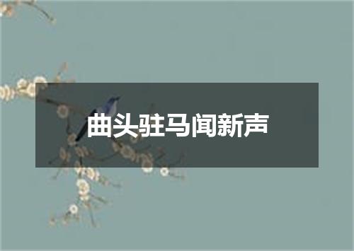 曲头驻马闻新声