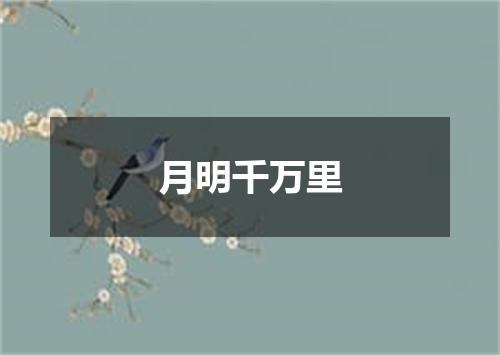 月明千万里