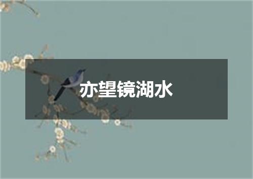 亦望镜湖水