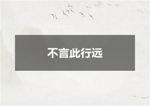 不言此行远