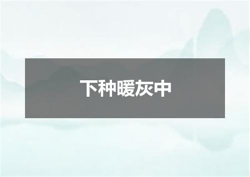 下种暖灰中