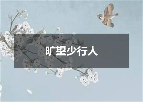 旷望少行人