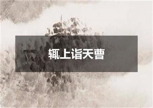 辄上诣天曹