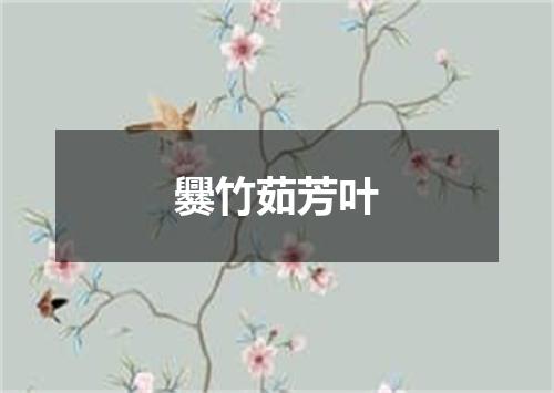 爨竹茹芳叶