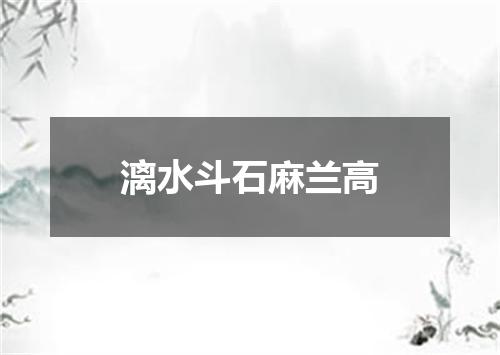 漓水斗石麻兰高
