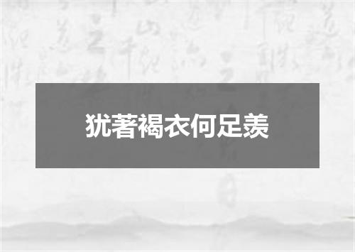 犹著褐衣何足羡