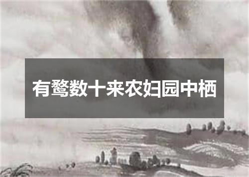 有鹜数十来农妇园中栖