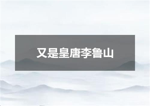 又是皇唐李鲁山