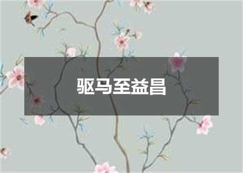 驱马至益昌