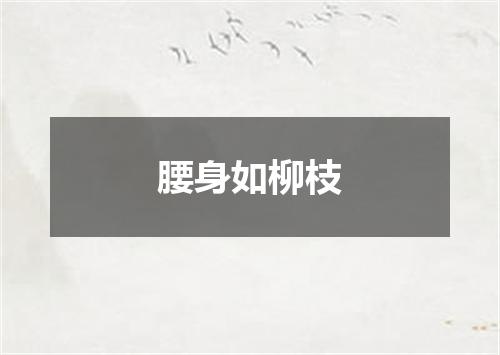 腰身如柳枝