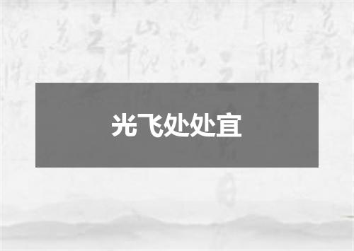 光飞处处宜