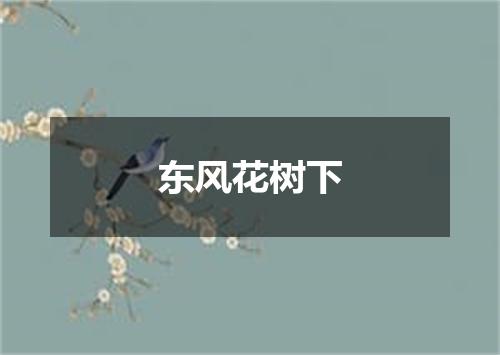 东风花树下
