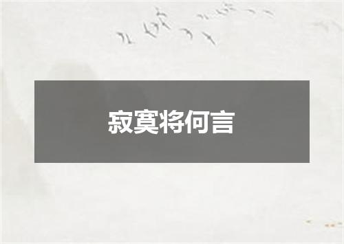 寂寞将何言