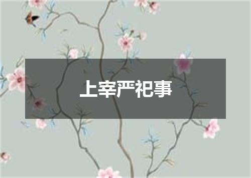 上宰严祀事