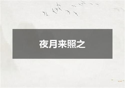夜月来照之
