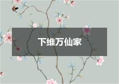 下维万仙家