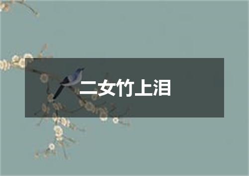 二女竹上泪