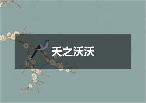 夭之沃沃