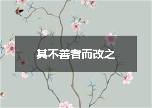 其不善者而改之