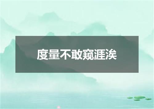 度量不敢窥涯涘