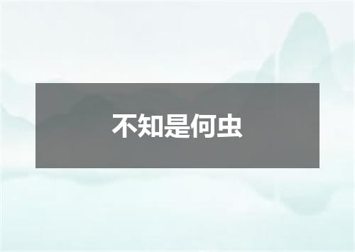 不知是何虫