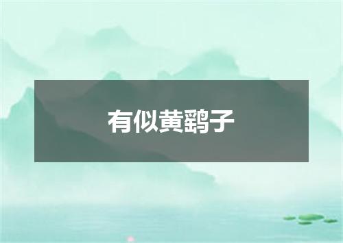 有似黄鹞子