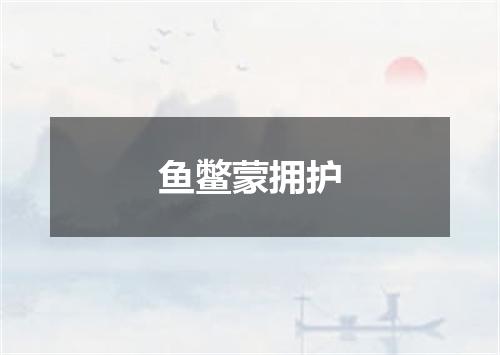 鱼鳖蒙拥护