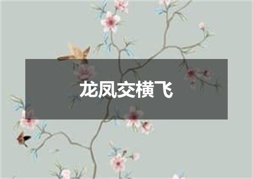 龙凤交横飞