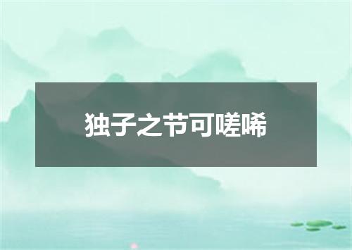 独子之节可嗟唏