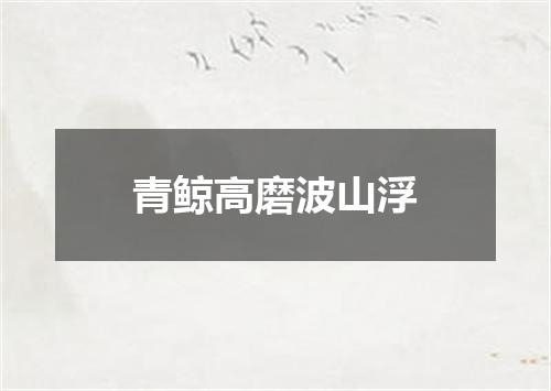 青鲸高磨波山浮