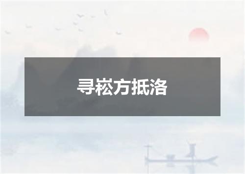 寻崧方抵洛