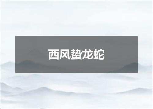 西风蛰龙蛇