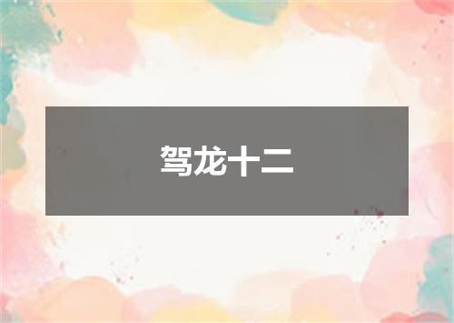 驾龙十二
