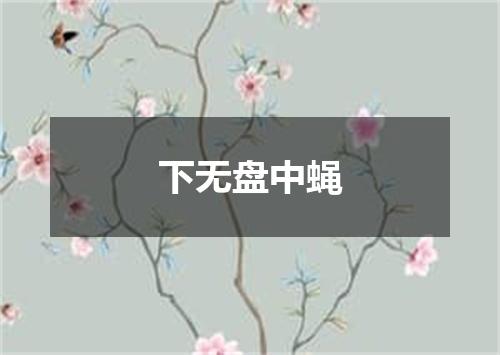 下无盘中蝇
