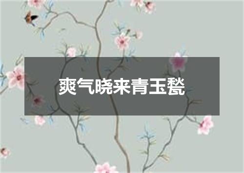 爽气晓来青玉甃