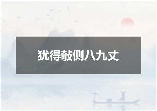 犹得敧侧八九丈