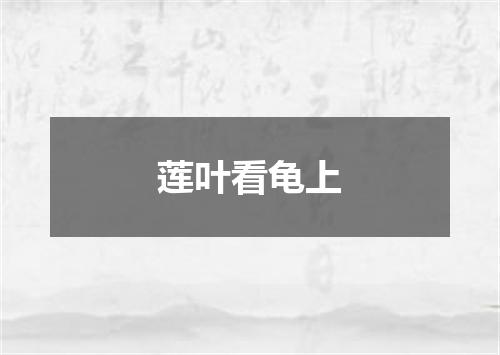 莲叶看龟上