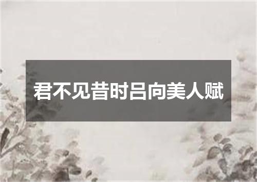 君不见昔时吕向美人赋