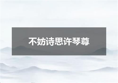 不妨诗思许琴尊