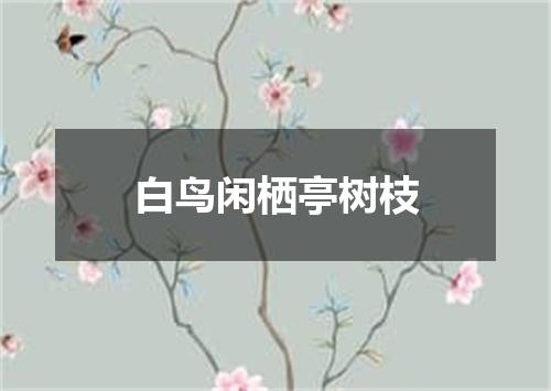 白鸟闲栖亭树枝