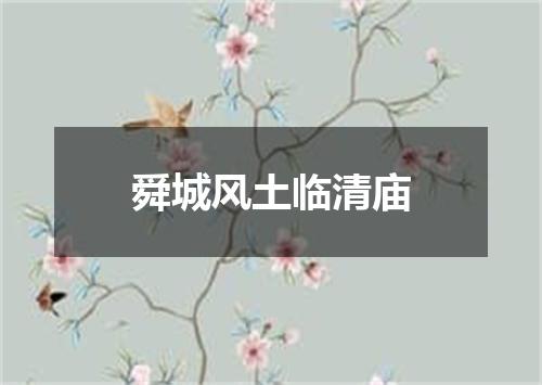舜城风土临清庙