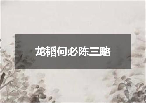 龙韬何必陈三略