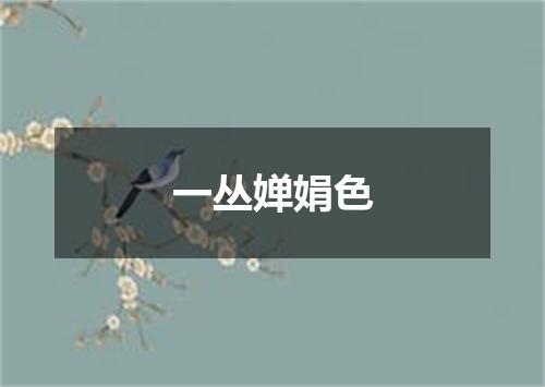 一丛婵娟色