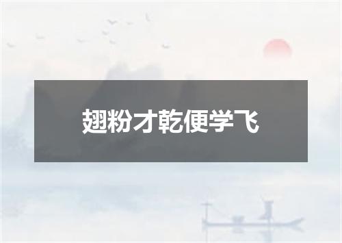 翅粉才乾便学飞