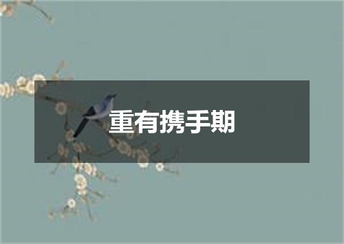 重有携手期