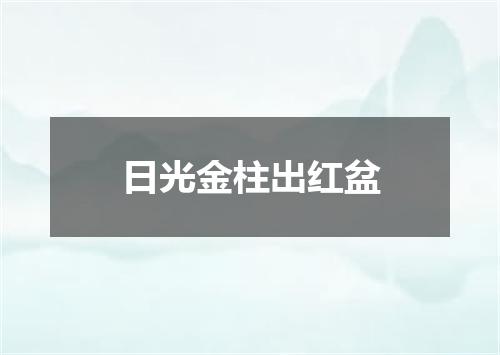 日光金柱出红盆