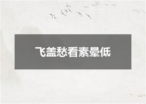 飞盖愁看素晕低