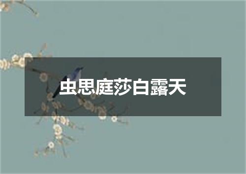 虫思庭莎白露天
